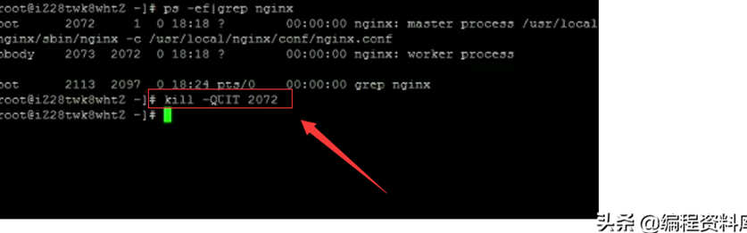 「Nginx」Linux常用命令------启动、停止、重启