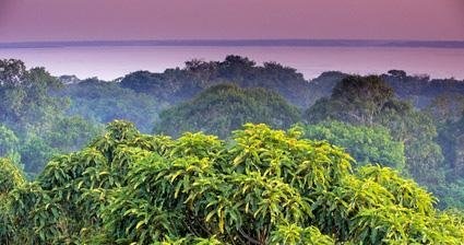 世界上最美的十大热带雨林排行榜 最美的热带雨林 
