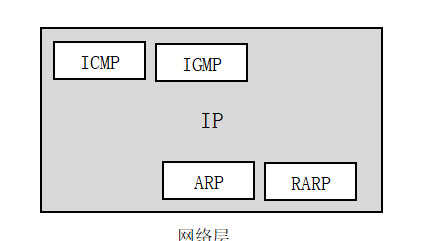 计算机网络学习：分组转发和路由选择、ARP协议