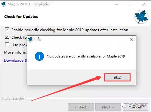 Maple 2019安装包免费下载附安装教程